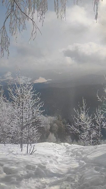 staminatravel в LOOKY. #алтай,#нсо,#нск,#travel,#горы,#горныйалтай,#altay,#altai,#путешествие,#россия,#trip,#life,#сибирь,#beautiful,#следуйзамечтой,#тур,#горыалтая,#турынаалтай,#travel,#tourism,#отпуск,#вгорах,#автотур,#staminatravel. Поездки которые Вы м...
