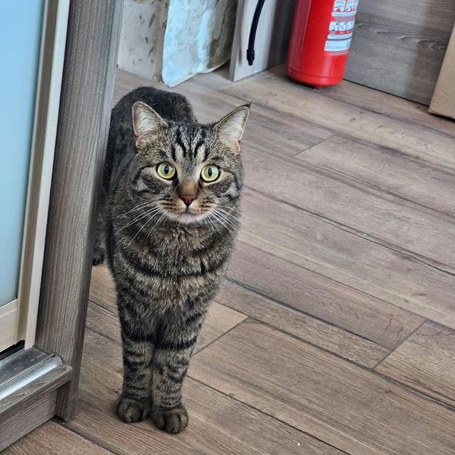 vitaly_pronin в LOOKY. . Вот как не любить эт...