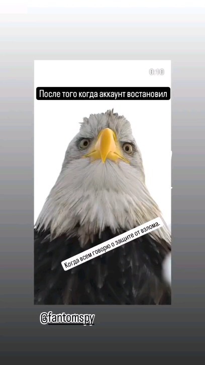 fantomspy в LOOKY. . null