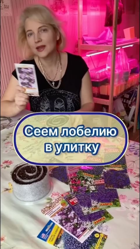 my_garden_every_day в LOOKY. #лобелия,#посев,#посеввулитку,#посевная2024,#сад,#садогород,#садоводчество,#садовод,#садогороддача,#посевлобелии,#однолетники,#цветы,#лайфхак,#лайфхакдлясадовода,#лайфхакдлясада. Больше пользы в Теле...