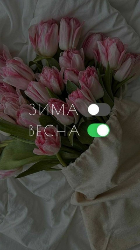 yana_kazankova_ in LOOKY. #юмор#8марта#подарок,#муж#подарки#reels. #юмор#8марта#подарок...