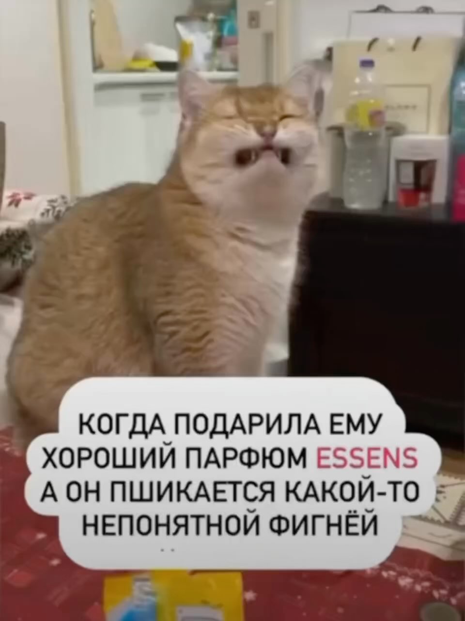 lyk_tati в LOOKY. #8марта,#прикол,#тытакнеделай. А ты готов к праздни...
