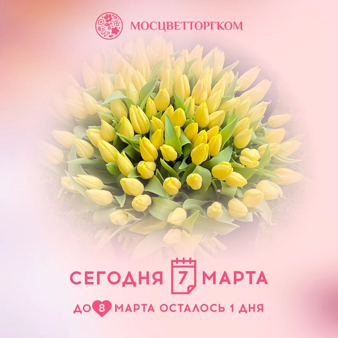 moscvettorg.com_moscow в LOOKY — #8марта