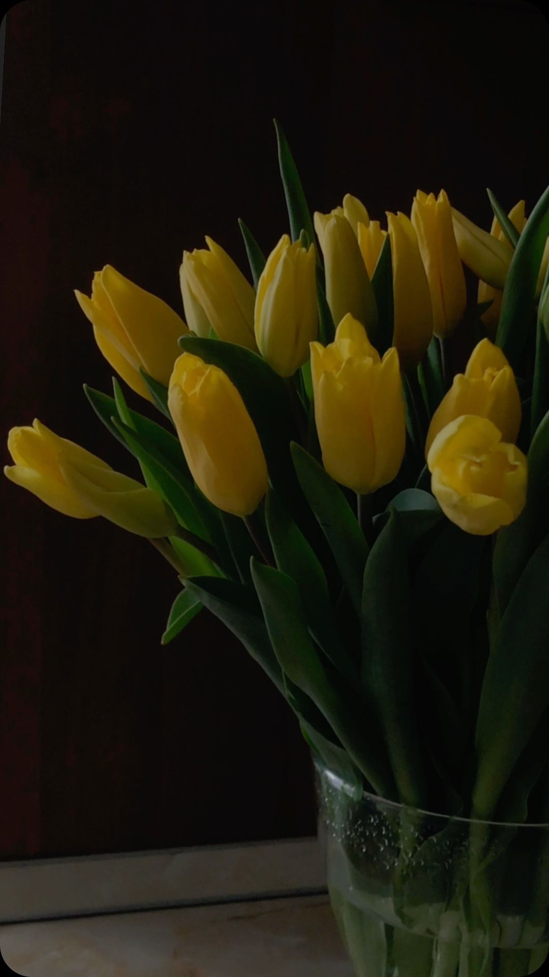 sfm_shh в LOOKY. . null