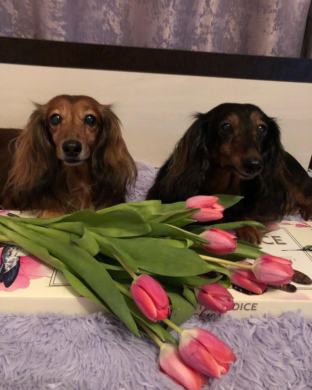 julechka2009 в LOOKY — фото 2