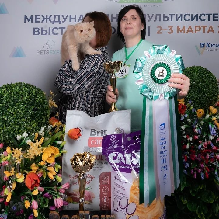 happyfriendcattery в LOOKY — фото 1