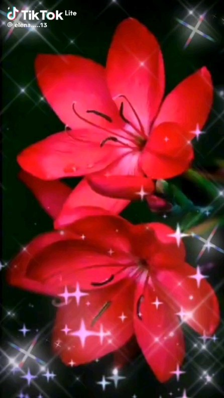 stasya.sovenok в LOOKY. . null