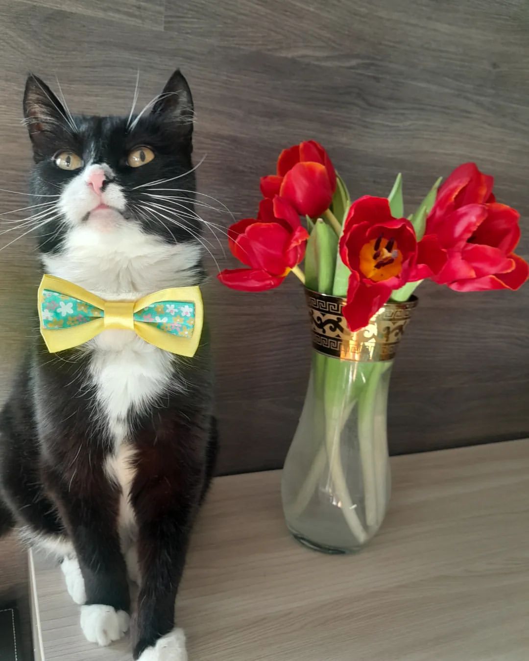 Милые, нежные, любимые!!!
🌷🌷🌷🌷🌷🌷🌷🌷🌷🌷🌷
Желаю всегда быть в прекрасном настроении, ощущать любовь, излучать свет, который притягивает все самое лучшее в вашу жизнь!
🌷🌷🌷🌷🌷🌷🌷🌷🌷🌷🌷