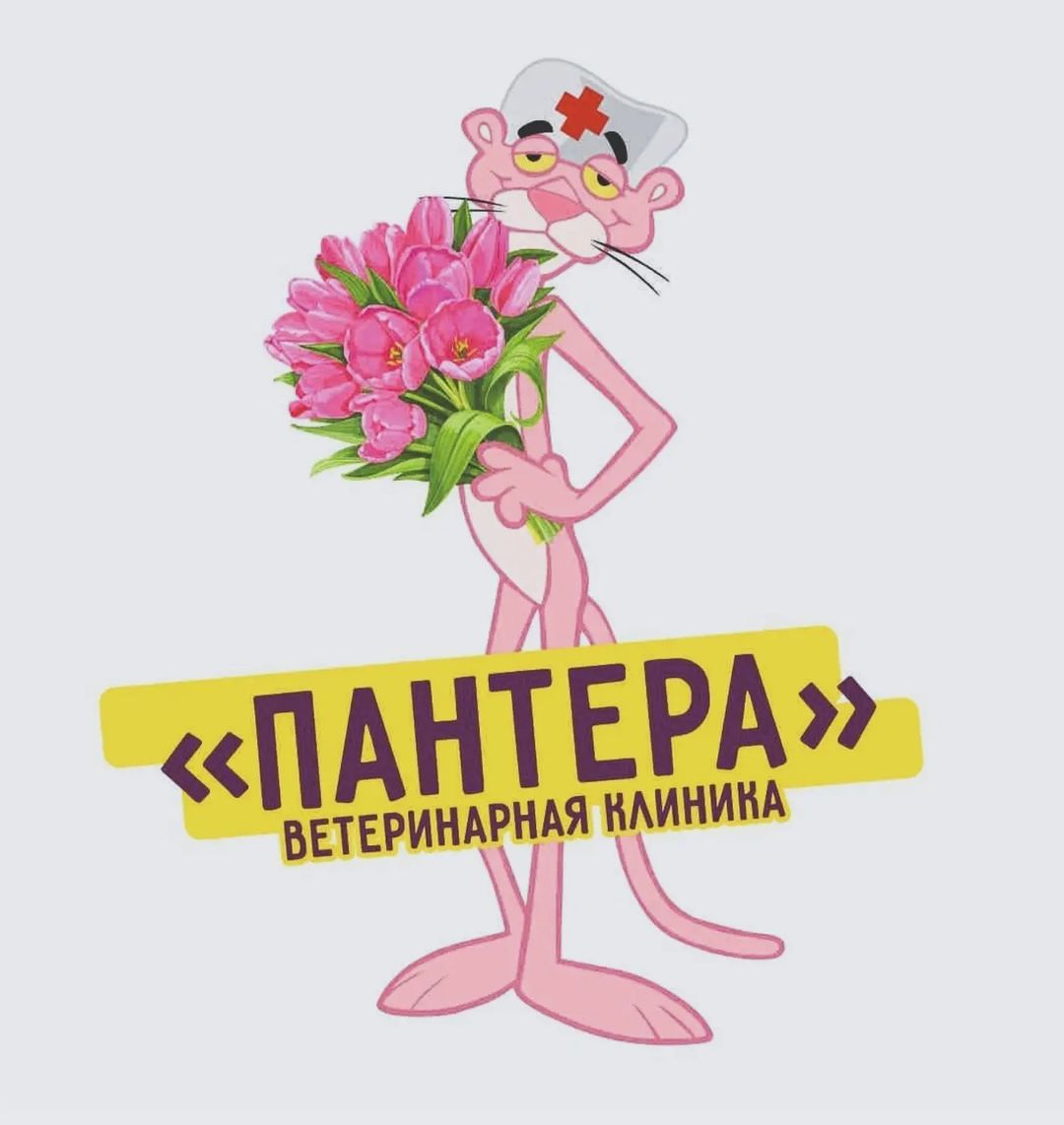 Поздравляем с  красивым праздником весны!!!
#ветклиникабелоозерск
#ветеринарнаяаптекабелоозерск #ветеринарнаяклиникапантера #ветеринарнаяклиникавоскресенск #белоозерский #воскресенск