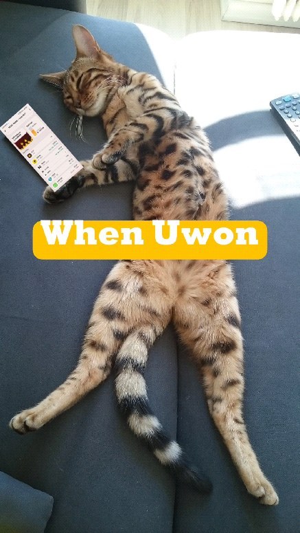 massih_og в LOOKY. #uwon,#reels. #uwon #reels