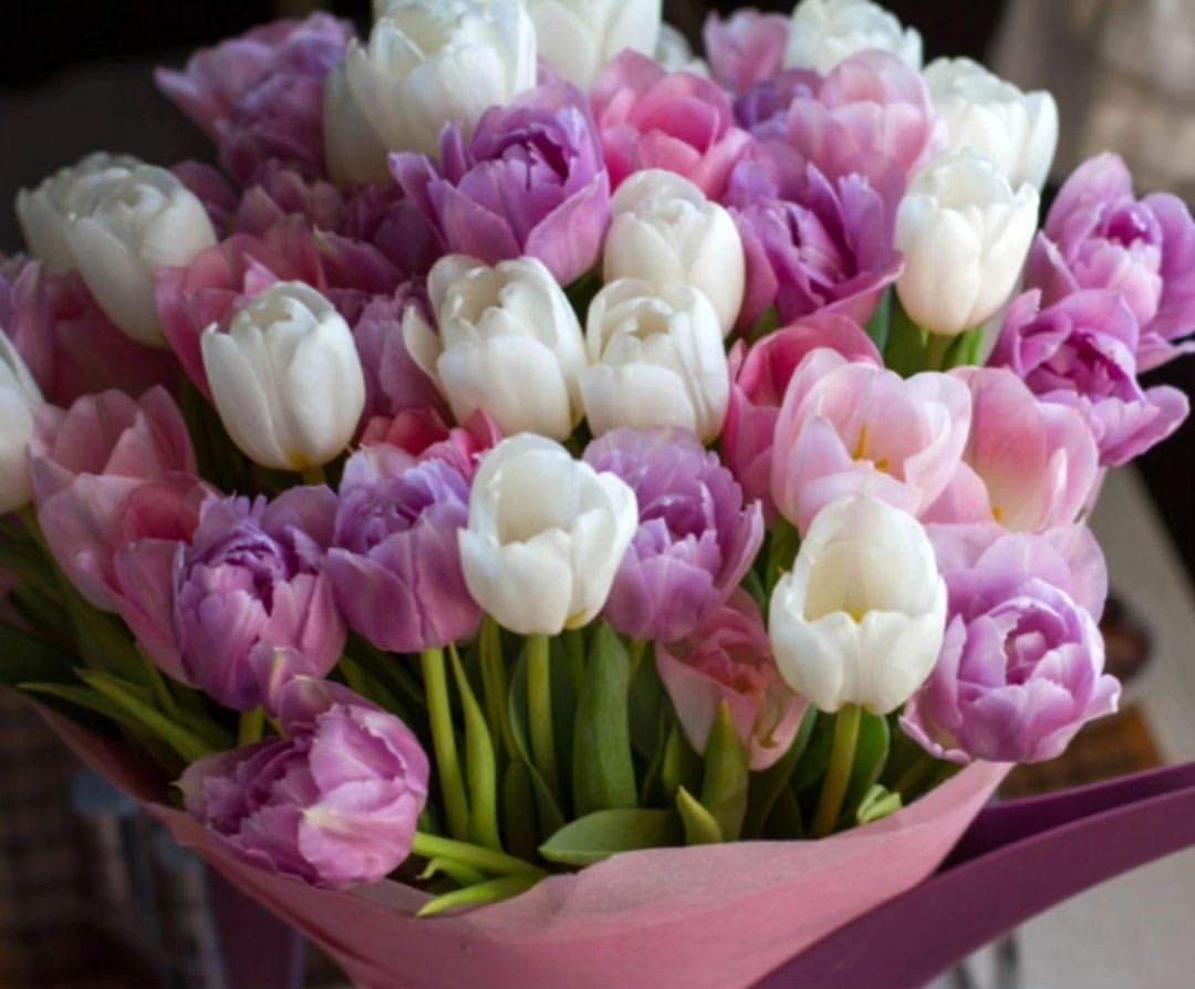 🌷🌷🌷🌷🌷В этот чудесный женский праздник хочется пожелать только положительных эмоций, бескрайнего счастья и крепкого здоровья. Пусть невзгоды обходят стороной, а каждый день будет поводом для новой радости.🌷🌷🌷🌷🌷