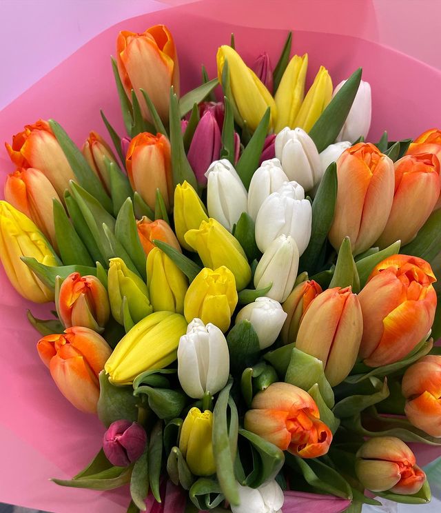 oksanaa55 в LOOKY. #март,#8марта,#спраздником,#любовь,#тюльпан. С 8 марта девочки!!!...