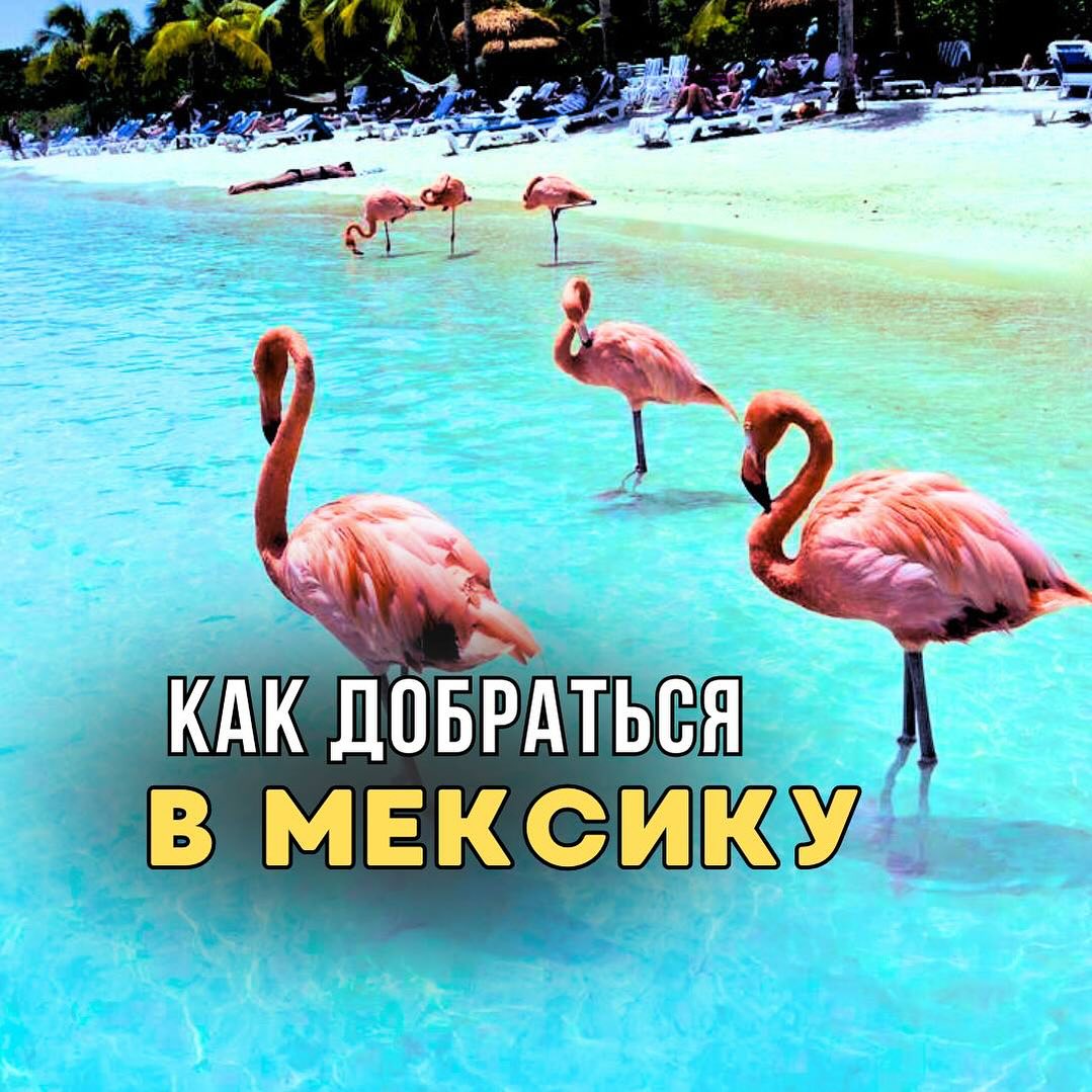arsenmexico в LOOKY — Как добраться в Мексику в 2024 году?
 1. Быстро и с минимумо