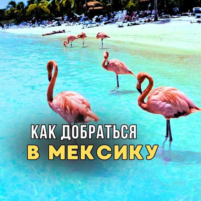arsenmexico в LOOKY. . Как добраться в Мекс...