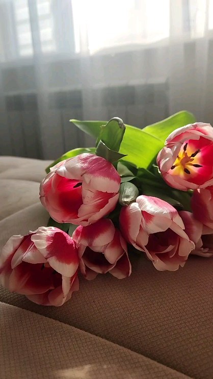 alexandra_1105 в LOOKY. . Весна⚘️