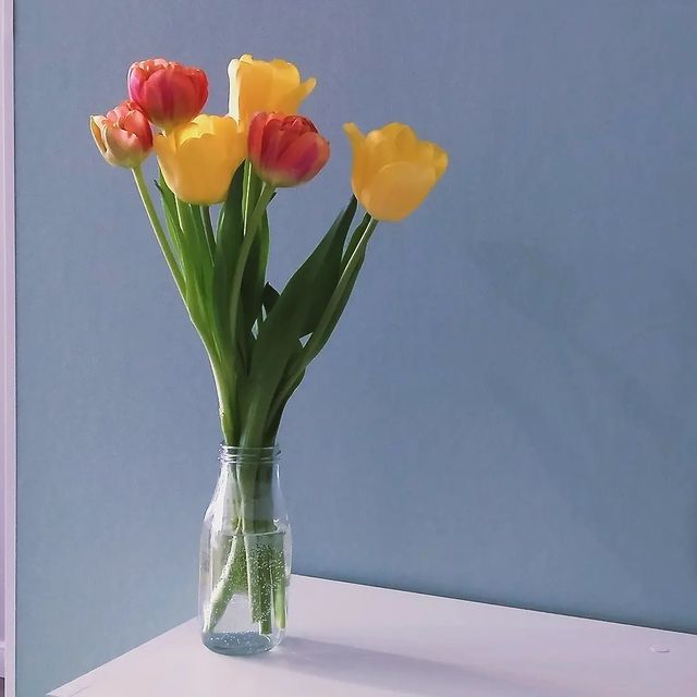 e_pronyutkina в LOOKY. . null