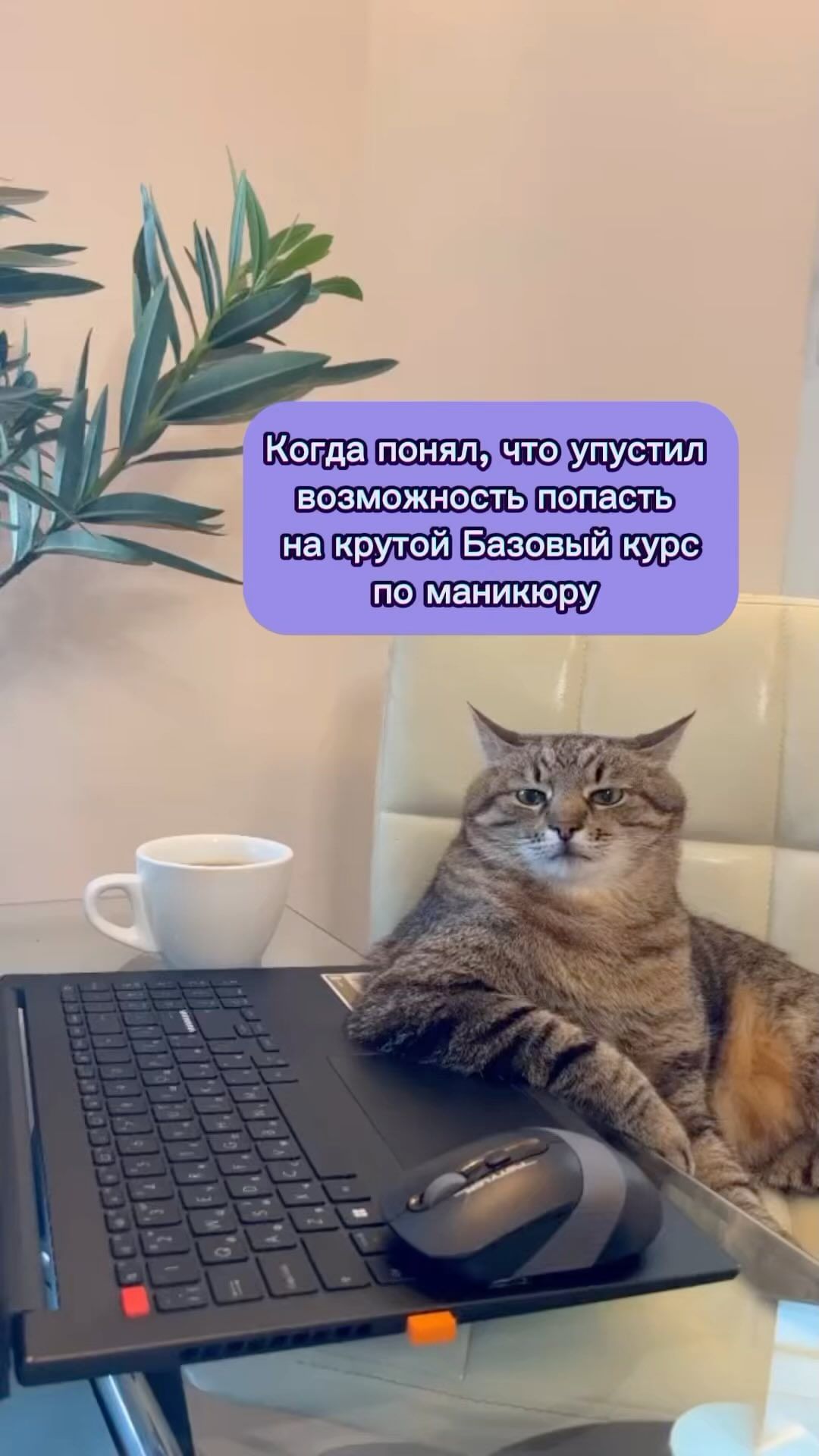 jane_nefedova в LOOKY. . Чем больше отработок...