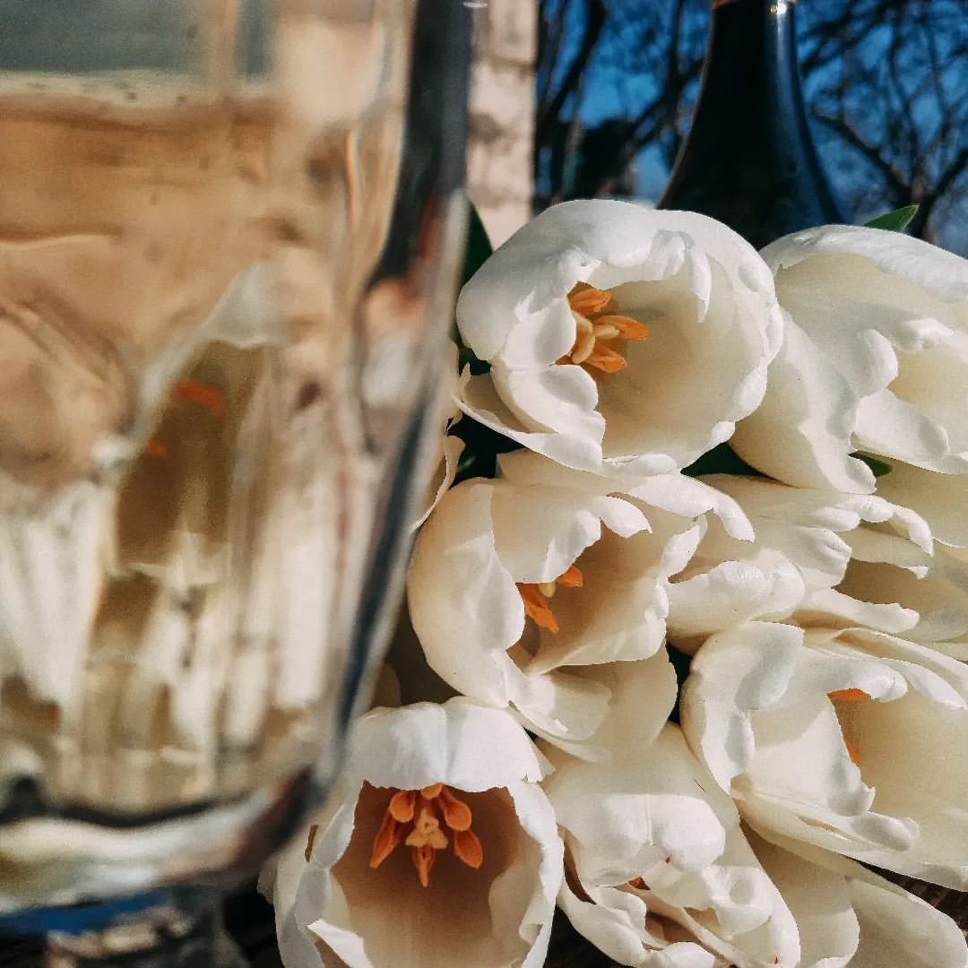 nicirina12 в LOOKY — 🤍🤍🤍

#ａｅｓｔｈｅｔｉｃ #tulips #flowers #foto