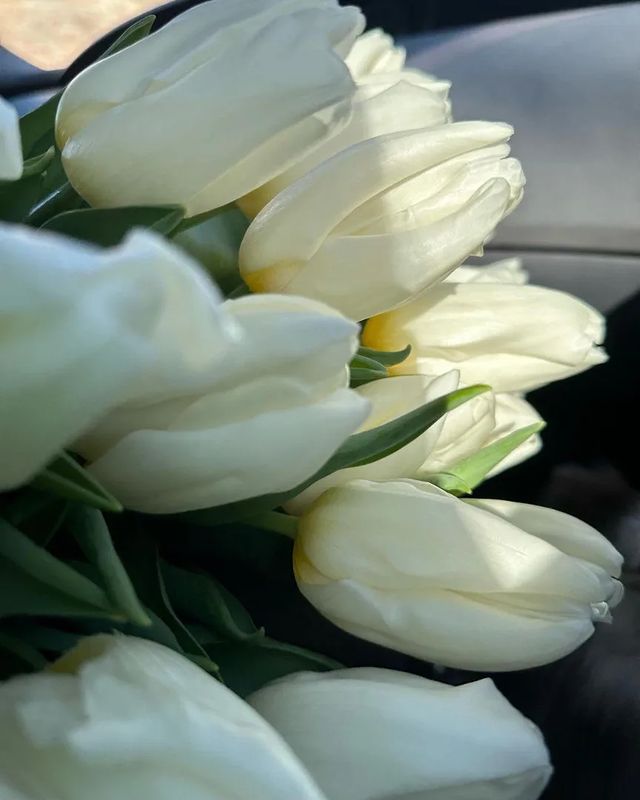 xxammloo в LOOKY. . null