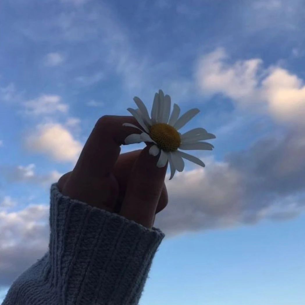 deln__0 в LOOKY — To live you need sun, freedom and a small flower.

 Hans K. 