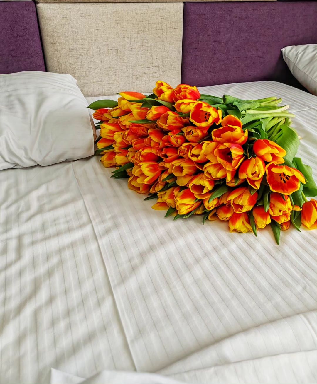 e.lena___n в LOOKY — фото 5