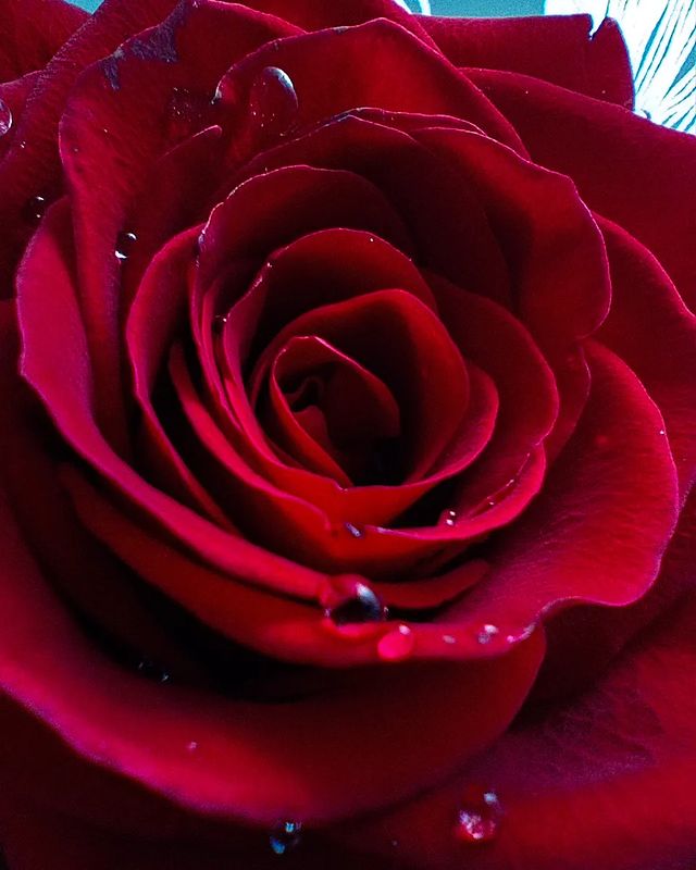 xxammloo в LOOKY. . null