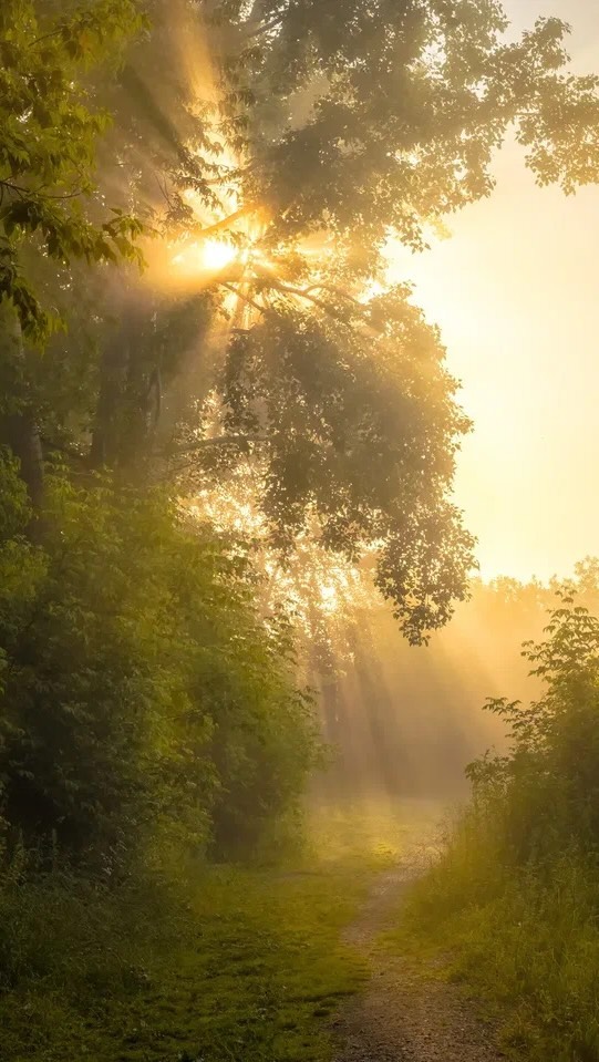 vera_piglovskaya в LOOKY. . По мотивам жизни. 🌱