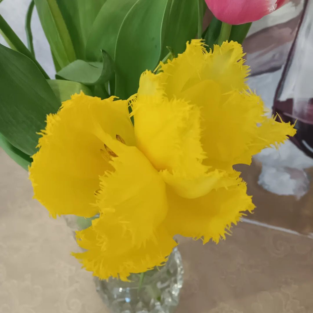 marinaantsyreva в LOOKY — фото 2
