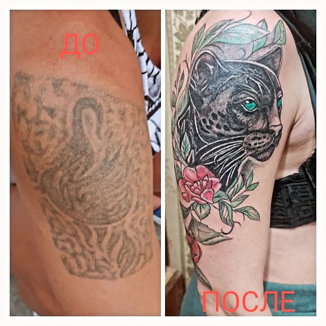 volshebnie_cryptoveshi в LOOKY. #татутирасполь,#coverap. #татутирасполь #cove...