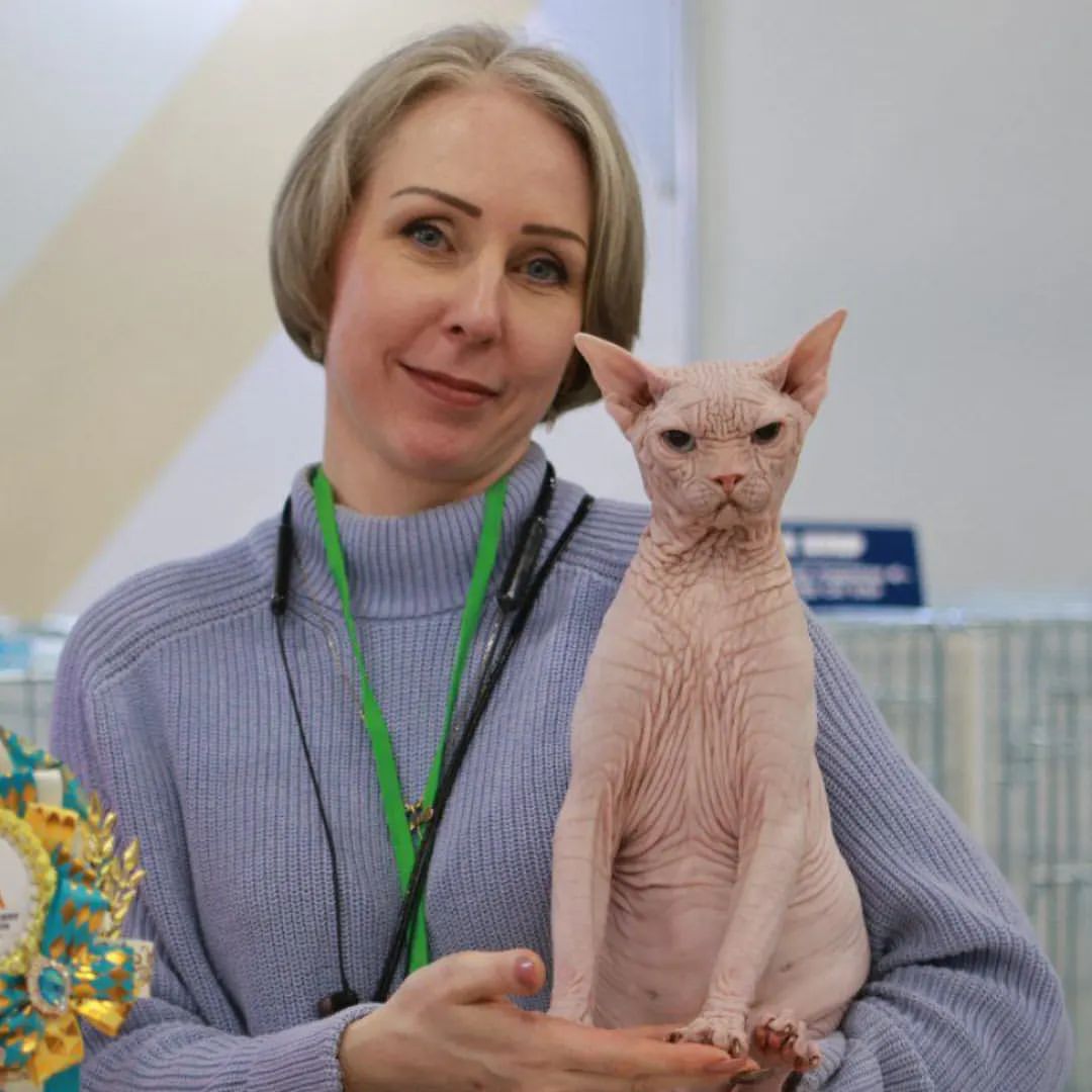 Это мы🐈‍⬛