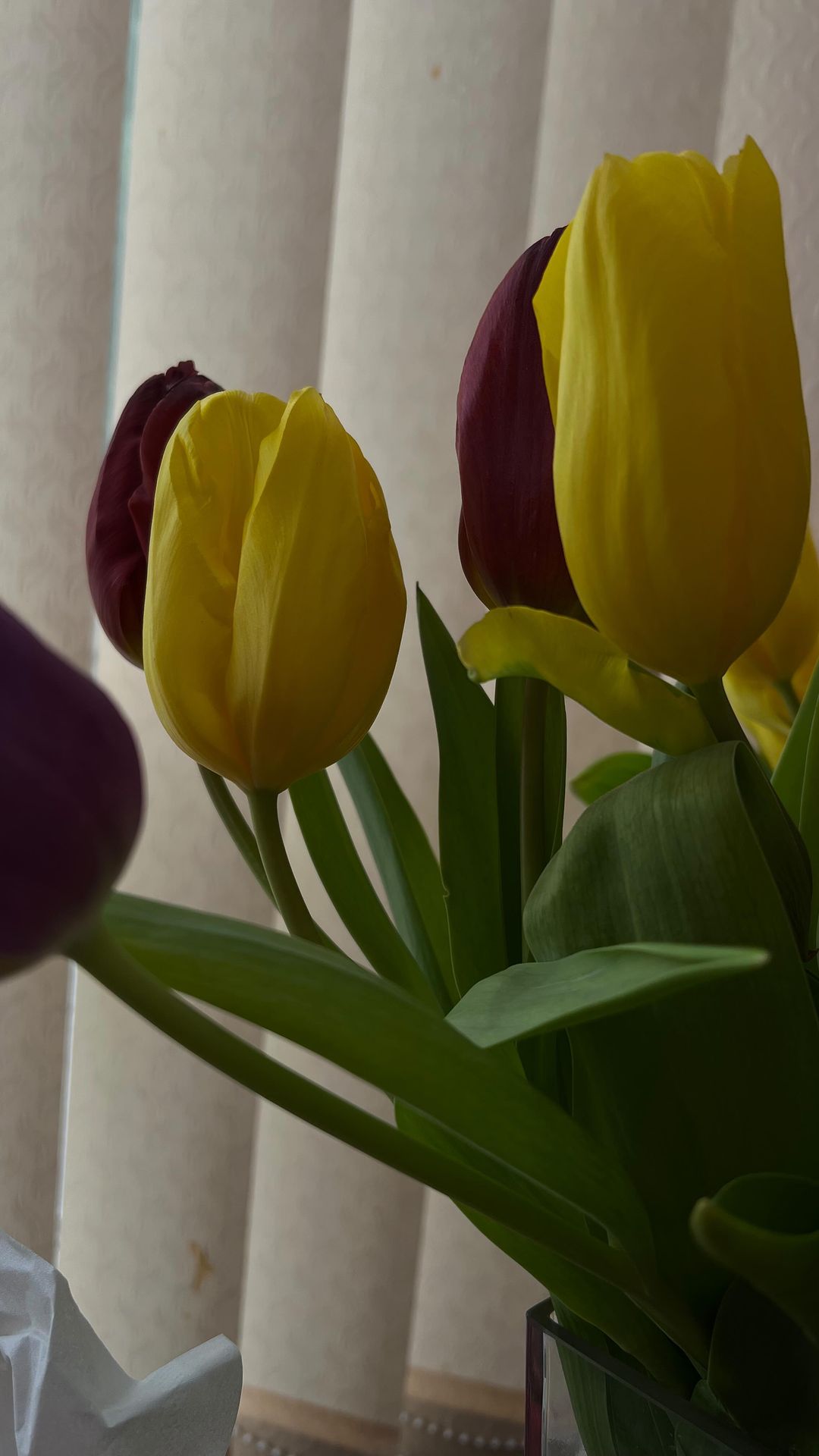 krysstsina в LOOKY. . Spring in soul 🌷#со...