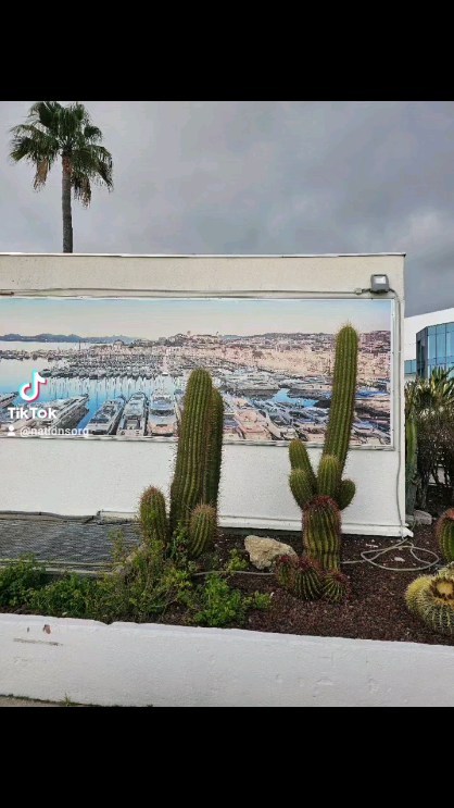 nationsorg в LOOKY. . Cannes 2024	https://...