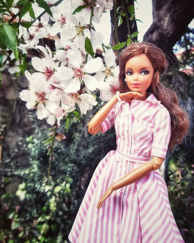 yanamarkovna01 в LOOKY. #barbie,#barbiedoll,#barbiefashionistas,#mattel,#matteldoll,#matteldolls,#fashiondoll,#fashiondolls,#yanamarkovna01,#барби,#куклы,#куклохобби,#puppen,#puppenhobby,#dollphotography,#dollphotos,#dollphoto,#plasticdoll,#dollcollection,#dollcollector,#dollcollectors,#dolls,#steffie,#barbiesteffie,#barbielooks,#barbiebmr1959. Frederica and almond...