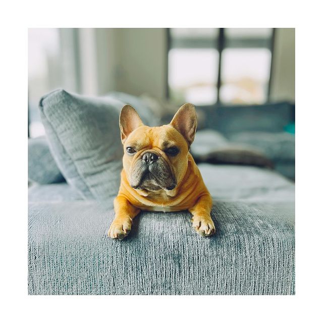 ilyanekhoroshev в LOOKY. . Выходные кайфуши 🐶