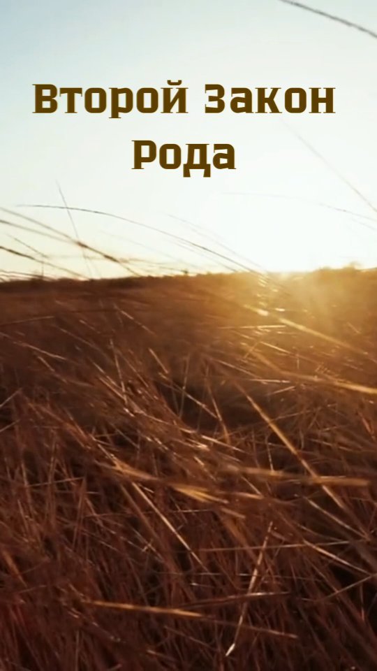 zherdeva_rod в LOOKY. . Закон замещения или ...
