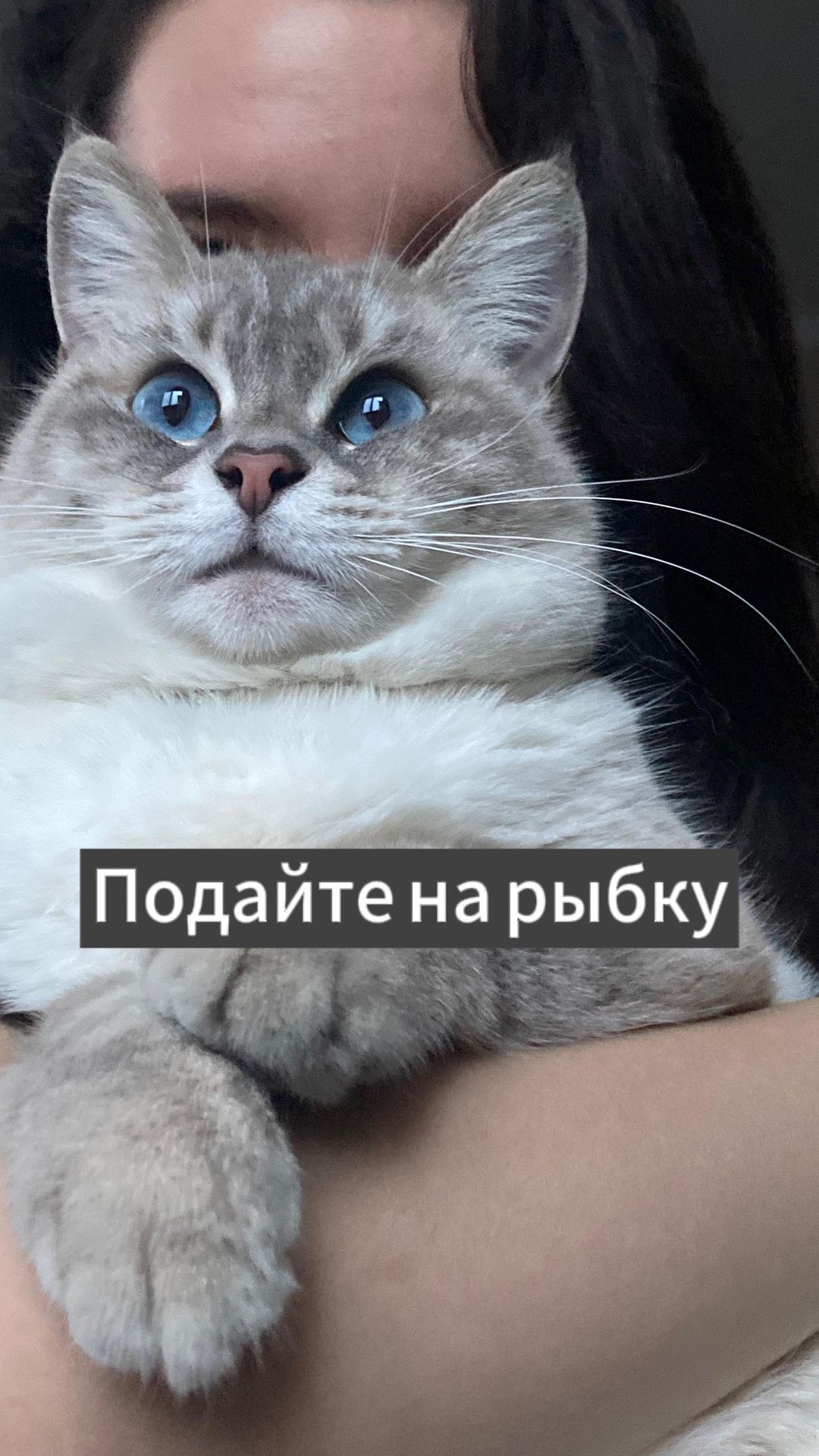 milavetrova_flax в LOOKY. . АЛИСА ПЛОХОГО НЕ ПОС...