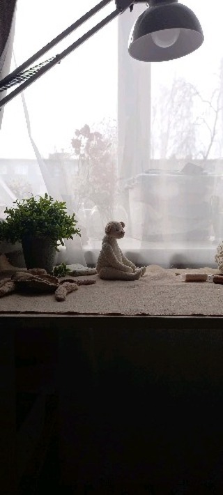 voldaeva_teddy в LOOKY. #teddy,#teddybears,#teddybear,#teddybearartist,#handmade,#процесс,#мишка,#泰迪熊. Мишутка готова 🧸
Те...