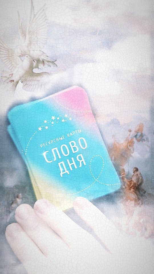 taro_helpme в LOOKY. . null