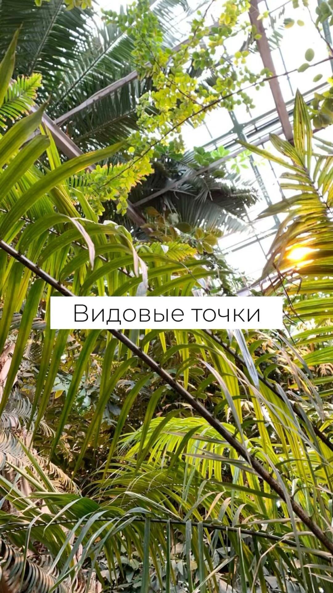 sad_da_vinchi в LOOKY. . Полное видео смотри ...