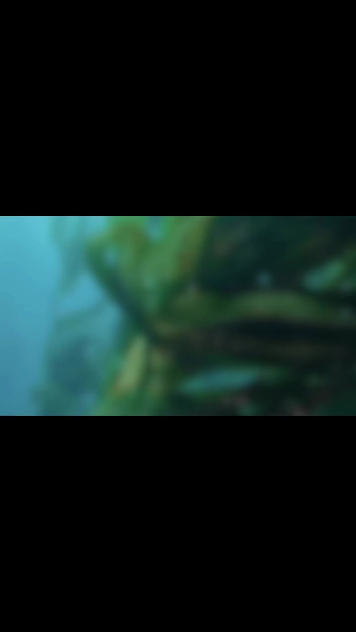 nataly.zakharova.vertera в LOOKY. . Если витамины - то т...