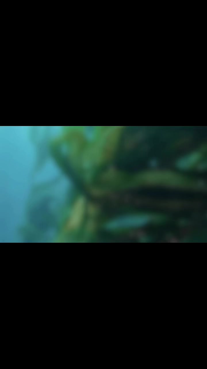 nataly.zakharova.vertera в LOOKY. . Знакомьтесь - Verter...