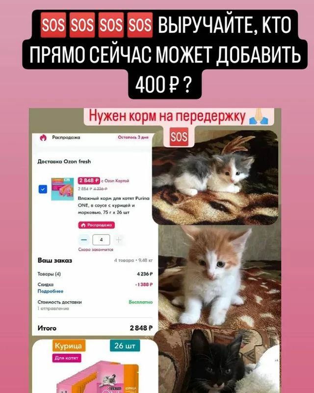 СЧАСТЬЕ  вдобрыеруки в LOOKY — ✔️📱+79850857742 активен для помощи как ➡️ 💳 СБЕРБАНК; 💳 В