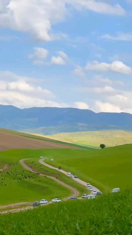 baxodirkz в LOOKY. #islomiy,#islom,#uzbekistan,#quron,#islomuz,#abdullohdomla,#maruza,#namoz,#domla,#islomiyvideolar,#toshkent,#tashkent,#iymon,#musulmon,#uz,#islomnuri,#uzb,#andijon,#islomdini,#telegram,#abdulloh,#taqvo,#islam,#alhamdulillah,#namangan,#musofir,#samarqand,#shukurullohdomla,#ramadankareem,#islam,#maherzain. asslamu aleykum

#is...