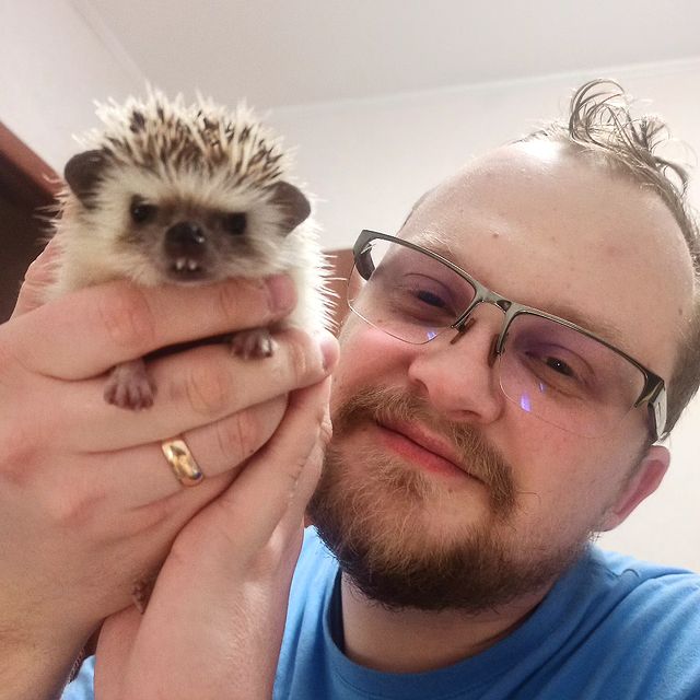 7calamus7 в LOOKY. #pets,#petsofinstagram,#hedgehog,#ёжик,#йожик,#питомец,#igel,#hobby. Боипузик подрос. Сча...