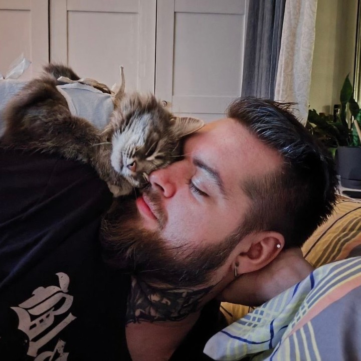 🐱