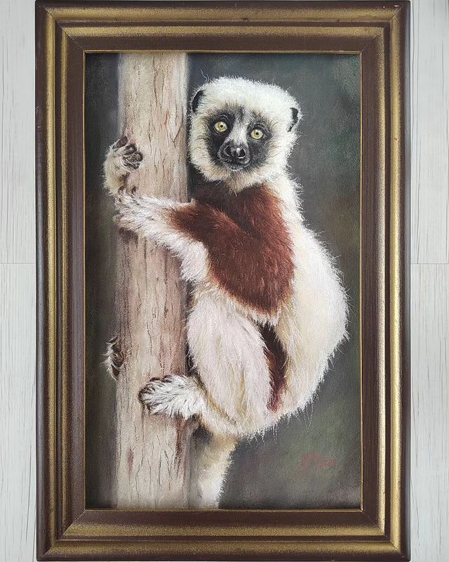 moremiron_art в LOOKY. #pastel,#animalistic,#paint,#graphic,#animalisticart,#пастель,#пастельныекарандаши,#рисунокпастелью,#анималистика. "СИФАКА" песчаный гр...