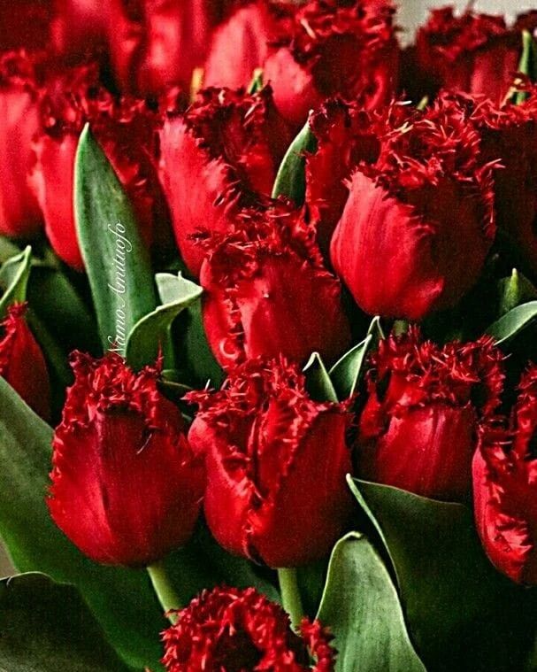rukodelie2863 в LOOKY. . null