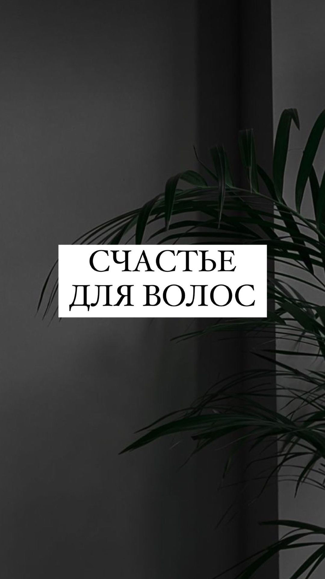studio_nelvika в LOOKY. . Счастье для волос! 
...