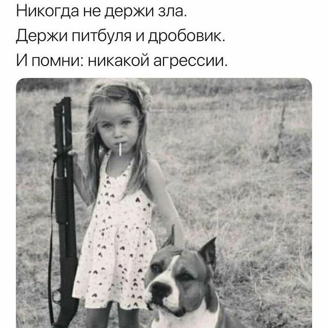 happypetsallworld в LOOKY. . Милые котики @dobroe...