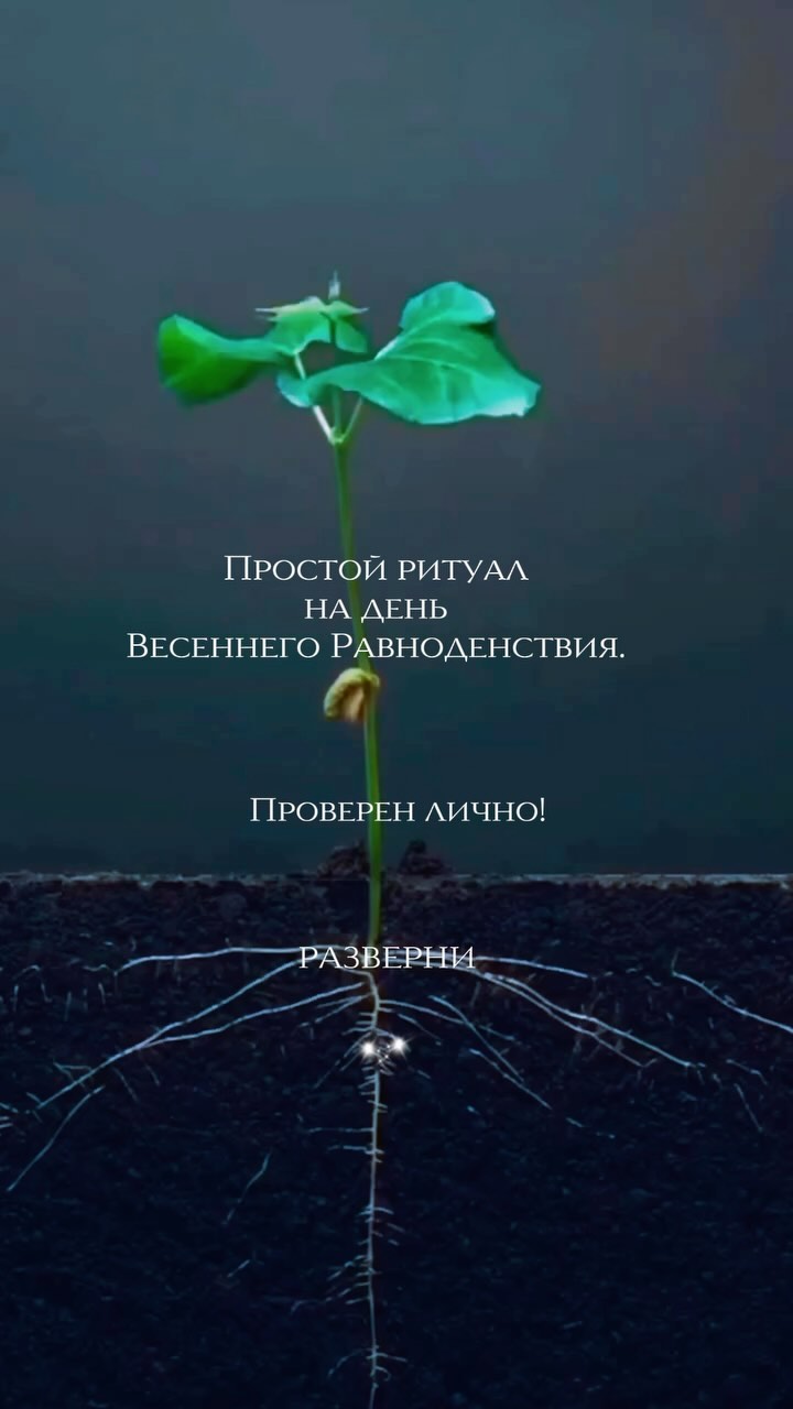 РУНЫ • ЧИСТКИ • РИТУАЛЫ • ТАРО в LOOKY. . РАЗВЕРНИ⬇️

Покупаем...